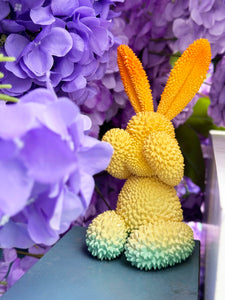 Durian Rabbit by We Art Doing *Pre-Order* Available in 3 different Colors