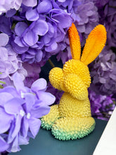 Load image into Gallery viewer, Durian Rabbit by We Art Doing *Pre-Order* Available in 3 different Colors