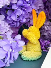 Load image into Gallery viewer, Durian Rabbit by We Art Doing *Pre-Order* Available in 3 different Colors