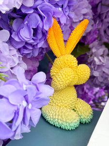 Durian Rabbit by We Art Doing *Pre-Order* Available in 3 different Colors