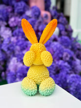 Load image into Gallery viewer, Durian Rabbit by We Art Doing *Pre-Order* Available in 3 different Colors