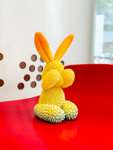 Load image into Gallery viewer, Durian Rabbit by We Art Doing *Pre-Order* Available in 3 different Colors