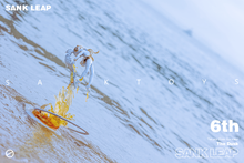Load image into Gallery viewer, Sank - Leap &quot;The Dusk&quot; by Sank Toys *Pre-Order*