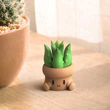Load image into Gallery viewer, Penpot Hugging Succulents Series 1 Blind Box by IA Toys